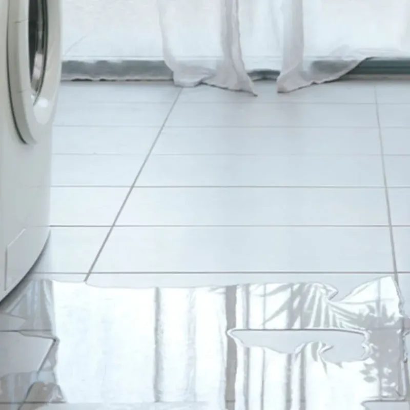 Appliance Leak Cleanup in Dunlap, TN
