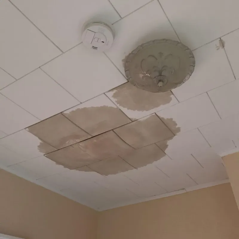 Ceiling Water Damage Repair in Dunlap, TN