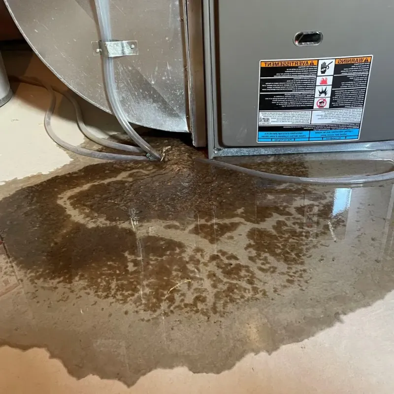 Pipe Burst and Leak Restoration in Dunlap, TN